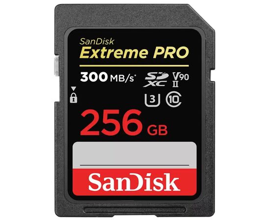  SDXC  256GB  SanDisk Class 10 Extreme Pro UHS-II (300 Mb/s) 