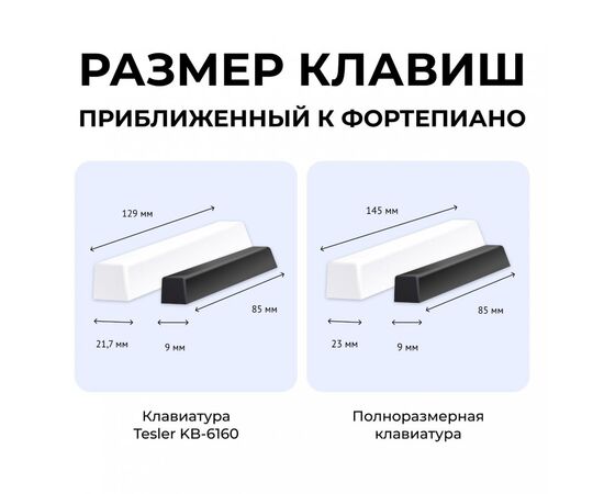  Синтезатор TESLER KB-6160 Black 