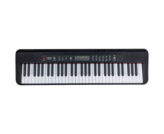  Синтезатор Terris TK-500 BK 