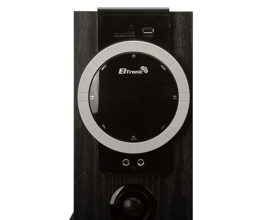  Портативная акустика ELTRONIC 20-81 Home Sound черный 