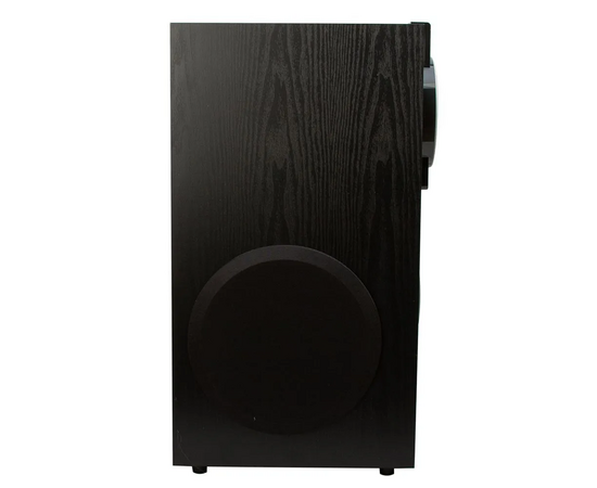  Портативная акустика ELTRONIC 20-81 Home Sound черный 